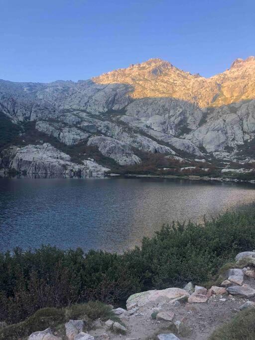 Appartement Au Coeur De La Ville Corte  Bagian luar foto